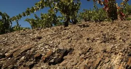 Priorat