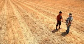 Farming on Crisis