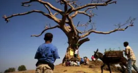 Cine etíope - Programa 2