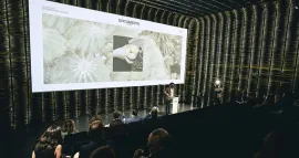 Presentación Documenta Madrid 2024