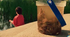 Cubo de plástico lleno de cangrejos