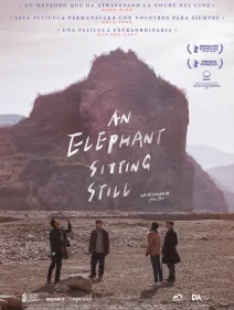 AN ELEPHANT SITTING STILL