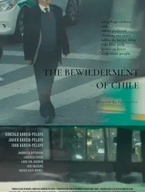 The Bewilderment of Chile