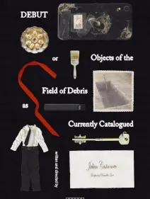 Debut, or, Objects of the Field of Debris as Currently Catalogued