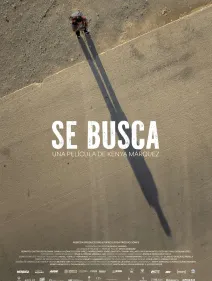 Se busca