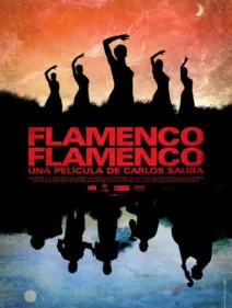 Flamenco, Flamenco