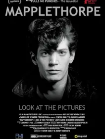 Mapplethorpe: look at the pictures