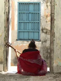 Piano / El árbol