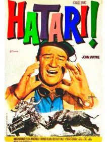 ¡Hatari!
